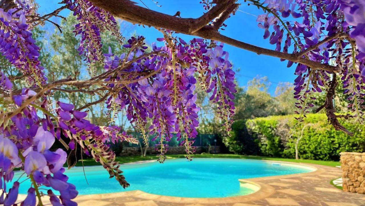 Agriturismo Sa Mandra Casa Minnina Luaran gambar